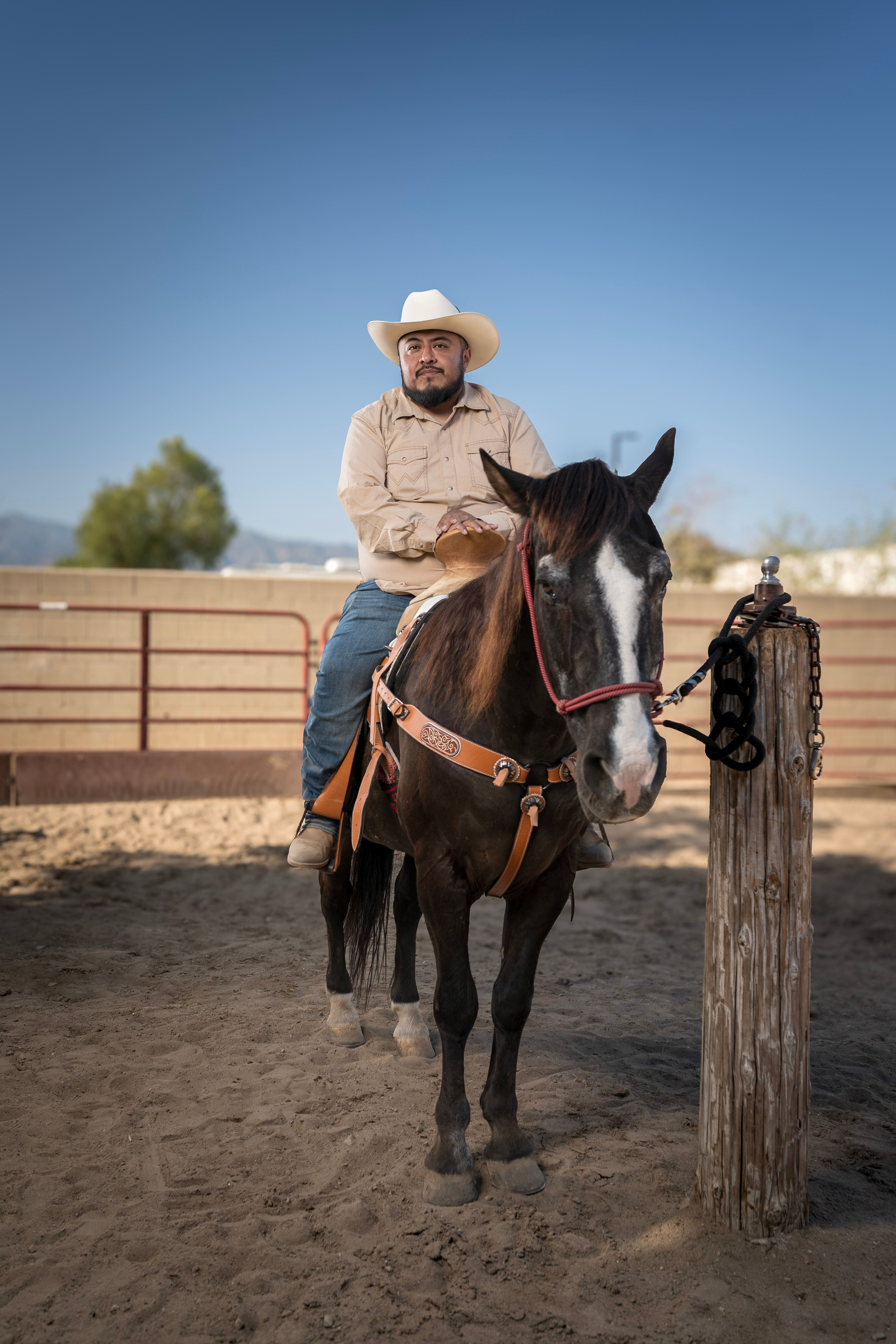Adult rider in a cowboy hat posing on horseback beneath a strong blue sky.
